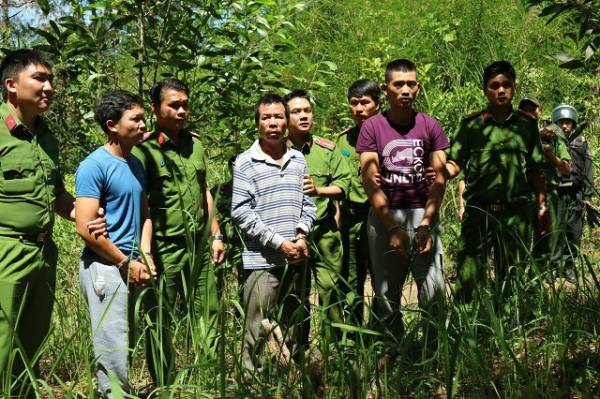 Thực nghiệm hiện trường vụ ‘đầ‌u độ‌c’ hơn 10ha rừng thông ở Lâm Đồng