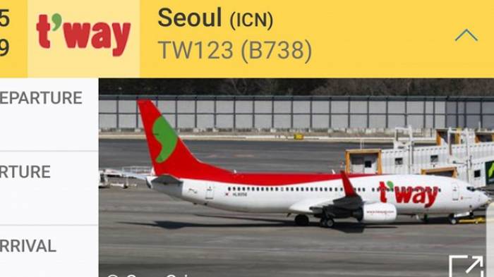 Móp mũi do va vào chim, máy bay Hàn Quốc hạ cánh khẩn xuống Tân Sơn Nhất