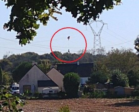 Tiêm kích F-16 rơi ở Pháp, phi công mắc trên dây điện cao thế