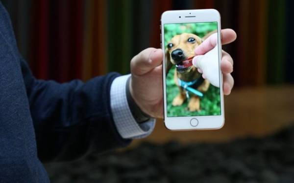 Apple sắp ra mắt iPhone giá rẻ?