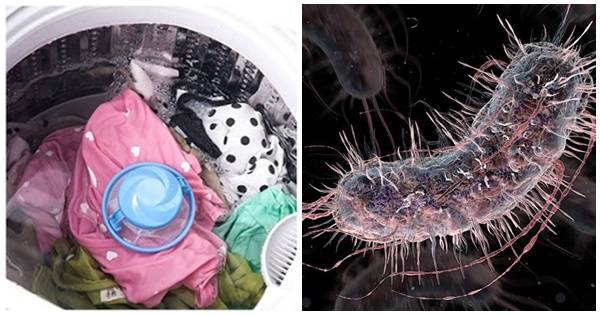 Trẻ viêm phổi, nhiễm trùng và có thể t‌ử von‌g vì nhiễm khuẩn từ máy giặt