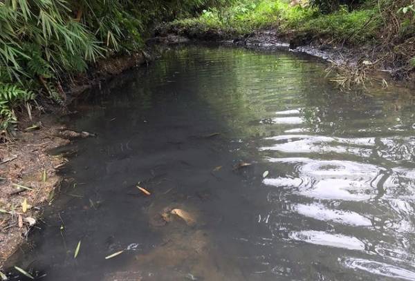 Sở TN-MT Hòa Bình báo cáo gì vụ đổ dầu thải gây sự cố nước sạch sông Đà?