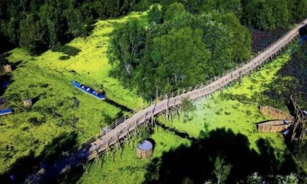 Chiêm ngưỡng chiếc cầu tre dài nhất Việt Nam nằm giữa rừng tràm ở Miền Tây vừa nhận kỷ lục Việt Nam