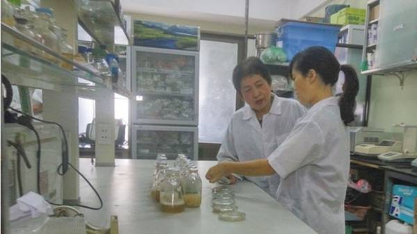 Việt Nam sáng chế thành công chế phẩm sinh học xử lý rác thải nhựa