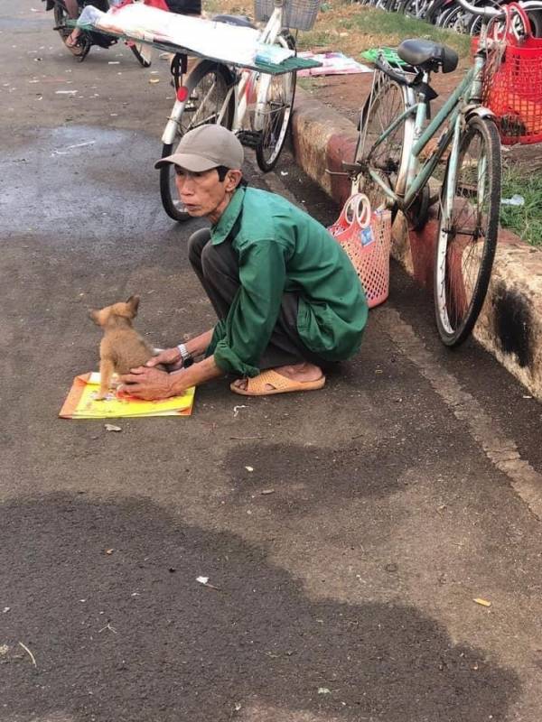 Xót xa hình ảnh ‘lão Hạc thời nay’ ở Nghệ An đem cún con đi bán ngày giáp Tết