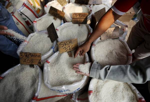 Ấn Độ: Xuất khẩu gạo năm 2019 giảm mạnh 18,1%, dự báo tiếp tục giảm 20% trong năm 2020