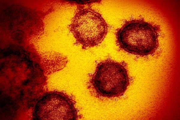 Nghiên cứu mới tiết lộ vì sao SARS-CoV-2 dễ lây nhiễm hơn