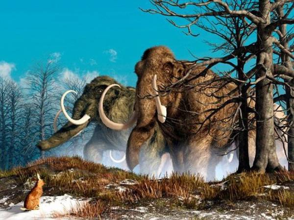 Đẹp độc lạ: Người tiền sử xây nhà sống qua Kỷ băng hà từ xương quái thú nặng 9 tấn?