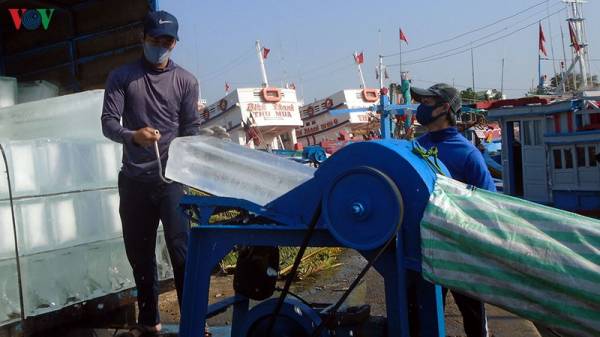 Giá xăng dầu giảm, ngư dân Bình Thuận háo hức vươn khơi