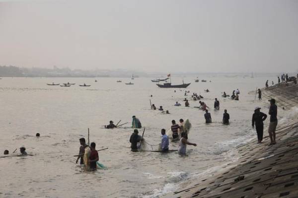 Được mùa cá rò, ngư dân Thừa Thiên - Huế kiếm tiền triệu mỗi ngày
