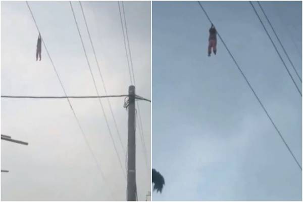 Cô gái đu dây điện cao 15 m và hét lớn: ‘Tôi không giữ thêm được nữa’