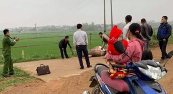 Bắc Giang: Làm rõ vụ trộm ngựa và bò của người dân đưa vào rừng xẻ thịt