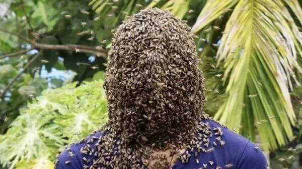 Chàng trai để 60.000 con ong che kín mặt, lập kỷ lục Guinness