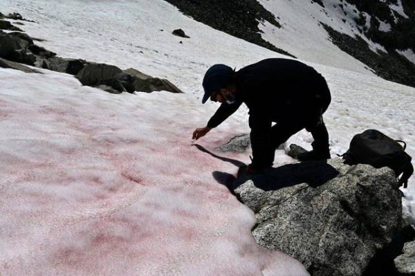 Băng hồng bí ẩn xuất hiện trên dãy Alps