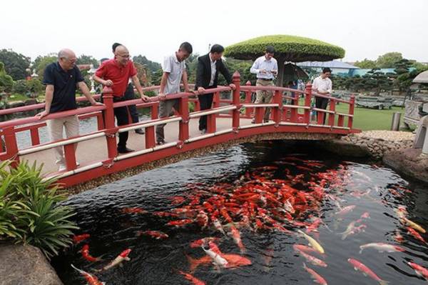 Đại gia Thái Nguyên lấy đá quý làm hồ cá: Thú chơi bạc tỷ của nhà giàu Việt