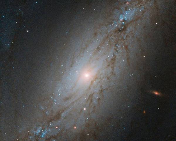 Phát hiện thiên hà ‘chạy trốn’ với tốc độ 5,6 triệu km mỗi giờ