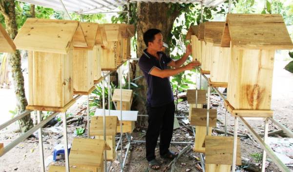 Khởi nghiệp nông nghiệp: Làm nhà cho ong