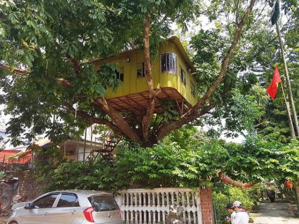 Độc đáo ngôi nhà “cheo leo” trên ngọn cây ở Ninh Bình