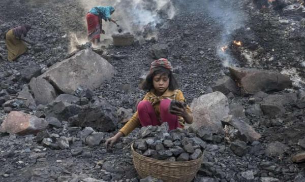 Ấn Độ lập 40 mỏ than ‘tự chủ’, rừng cổ thụ 1,7 tỷ m2 bị đe dọa