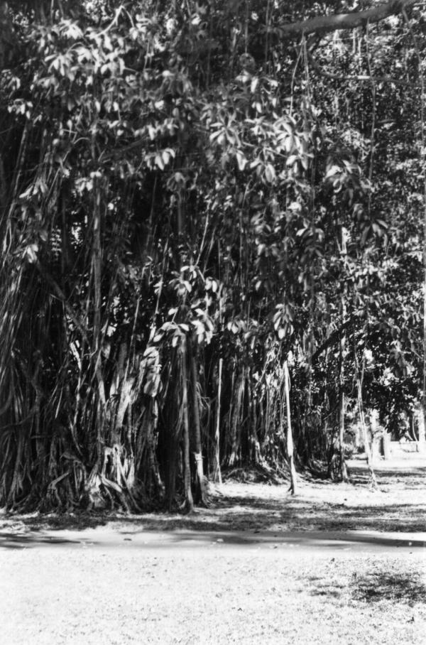 Cảnh tượng bất ngờ ở Thảo Cầm Viên Sài Gòn năm 1938 - 1939