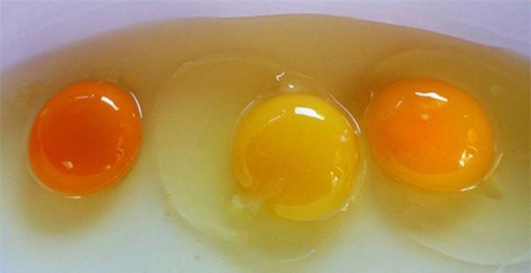 Lòng đỏ trứng có màu sắc đậm - nhạt khác nhau, vậy loại nào là tốt nhất?