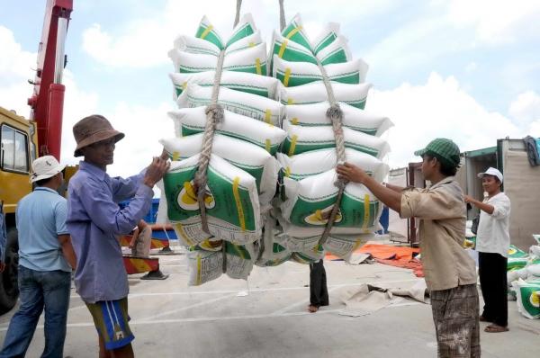 ĐBSCL: Lúa gạo tăng giá, nông dân tăng lợi nhuận