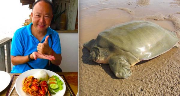 Đăng ảnh món thịt rùa, đại sứ Australia ở Campuchia phải xin lỗi