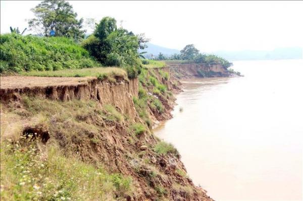 Tuyến đê sông Lô qua tỉnh Tuyên Quang có nhiều điểm sạt lở nghiêm trọng