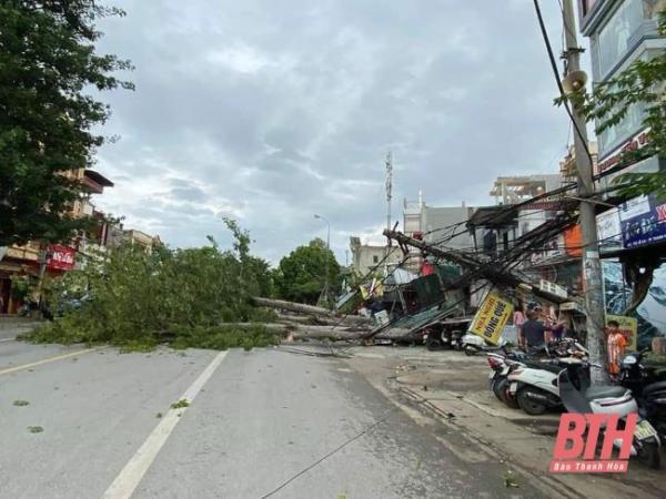 TP Thanh Hóa: Gió to quật đổ cây ở đường Lê Lai