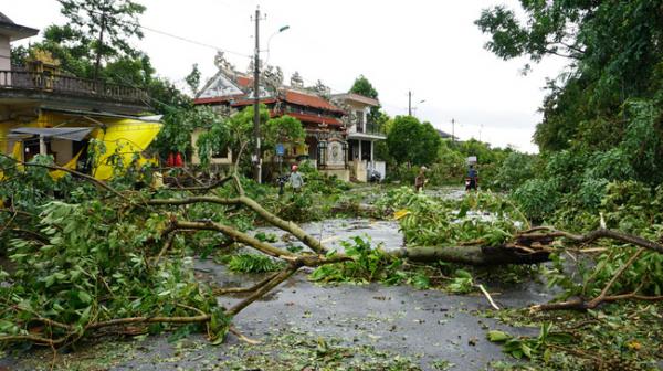 ẢNH: Nhà dân tốc mái và cây xanh, trụ điện gãy đổ hàng loạt ở Thừa Thiên - Huế