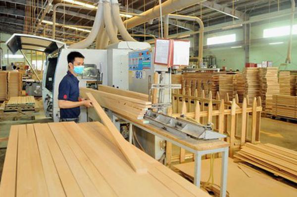 Yên Bái sắp có 2 nhà máy sản xuất gỗ trị giá gần 800 tỉ đồng
