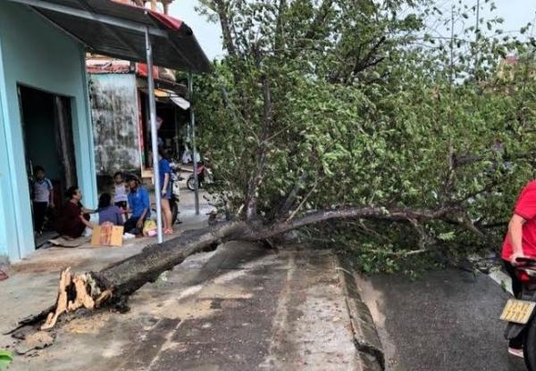 Quảng Bình: Hai người bị thương nặng do ảnh hưởng của bão số 5