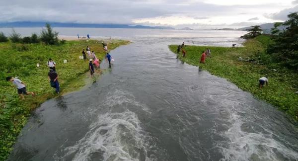 Người dân Đà Nẵng bắt cá nước ngọt bên bờ biển sau ảnh hưởng của bão số 5