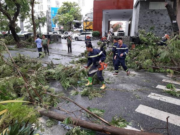 Một cán bộ phòng Giáo dục và Đào tạo t‌ử von‌g do cành cây gãy đè trúng ở Huế