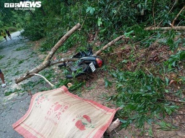 Thừa Thiên - Huế thiệt hại nặng sau bão số 5: Chủ tịch tỉnh phê bình khâu dự báo