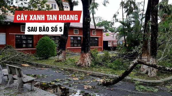 Đau lòng “núi” cây xanh gãy đổ tan hoang trên đường phố Huế sau bão