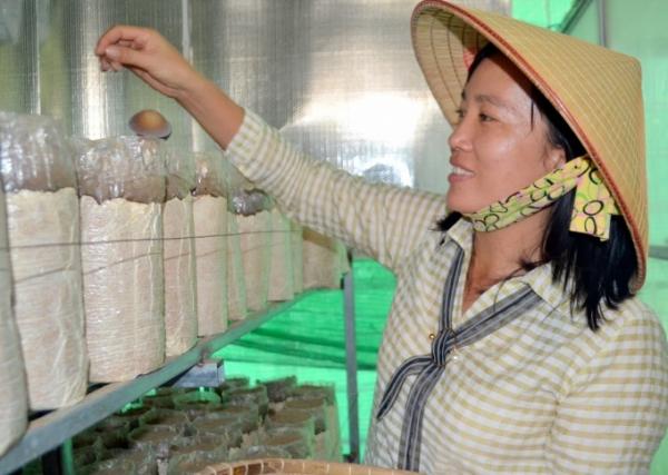 Tây Ninh: Hình thành các vùng sản xuất nông nghiệp hữu cơ