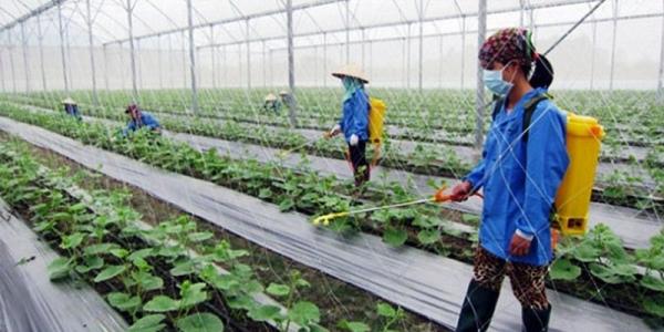 Bắc Giang: “Trải thảm đỏ” thu hút hàng nghìn tỷ đồng rót vào nông nghiệp