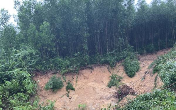 Quảng Bình huy động 60 người vào rừng tìm hai người mất tích