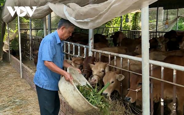 “Nông dân Việt Nam xuất sắc” Dương Văn Tạo luôn hết lòng vì hộ nghèo