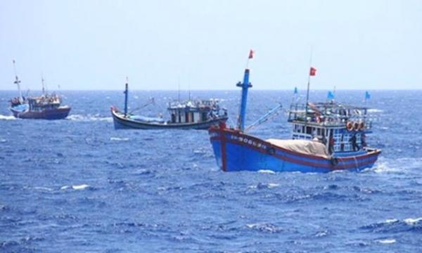 12 thuyền viên tàu cá Bình Định đang bị mất tích