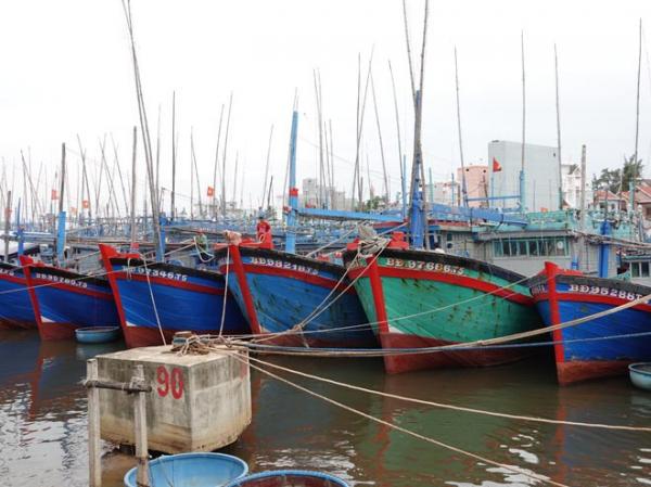 Bão số 9: Hai tàu cá Bình Định bị chìm, 26 ngư dân mất tích