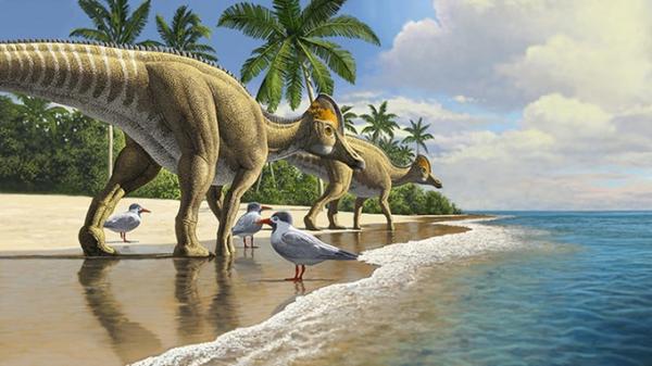 Phát hiện hóa thạch khủng long mỏ vịt đầu tiên ở châu Phi