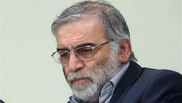 Nhiều nước lên án vụ ám sát nhà khoa học hạt nhân Iran
