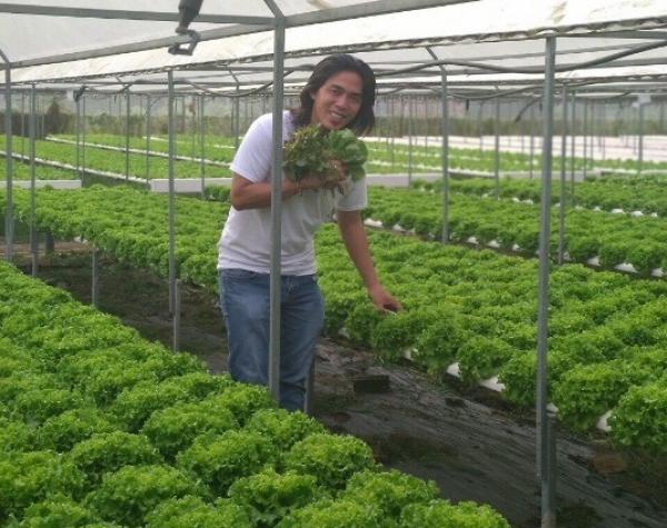 Bỏ nghề “củi lửa”, trai trẻ Sài Gòn về trồng rau, làm giám đốc