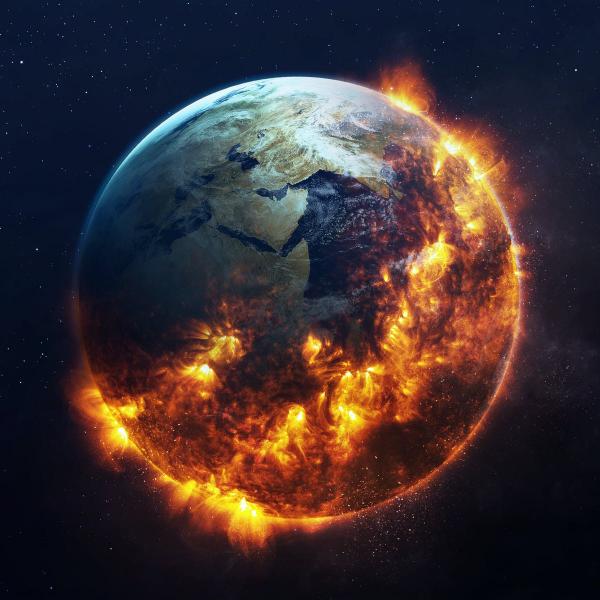 Cảnh báo Trái đất bước vào kỷ nguyên đại tuyệt chủng lần thứ sáu