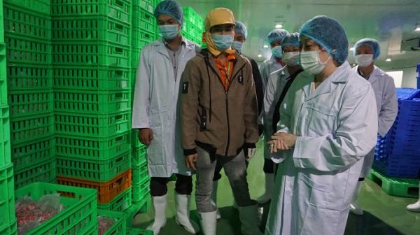 TP Hồ Chí Minh kiểm tra đột xuất chợ đầu mối Bình Điền và tổng kho Bách Hóa Xanh