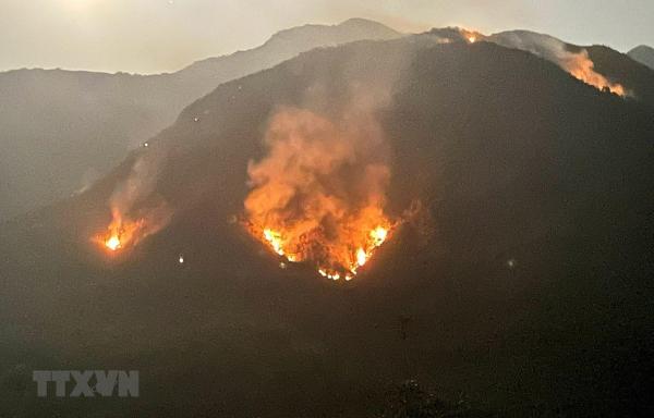 Lai Châu: Người dân đốt cây làm nương, gần 1.000 người chữa cháy rừng