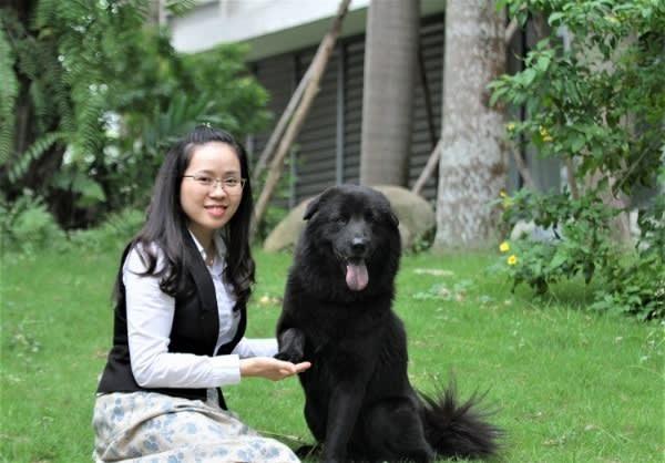 Chiêm ngưỡng chú chó Bắc Hà có giá chuyển nhượng “khủng” nhất Việt Nam