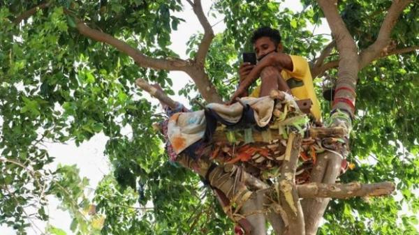 Thiếu hụt cơ sở y tế, chàng trai Ấn Độ trèo trên cây để cách ly sau khi biết mình nhiễm COVID-19